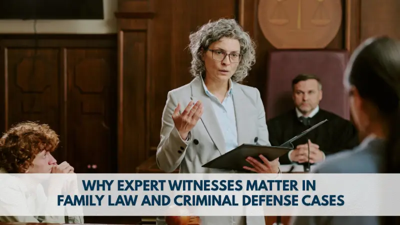 Expert witness family law criminal law